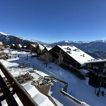 Pop-up Collectif 52 *